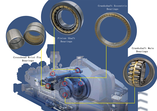 NFP6/723.795x3Q4 Cylindrical Roller Bearing For 3NB1600 Mud Pump 723.795x908.05x120.65mm